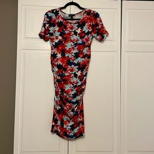 Isabella Oliver/ A Pea in the Pod midi maternity dress, size 2, floral print